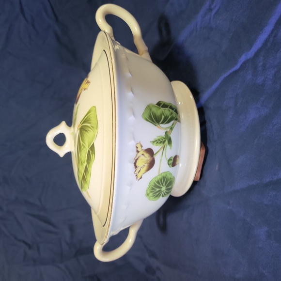 Crooksville "Begonia Iva-Lure" Soup Tureen (rare) - Picture 2 of 6